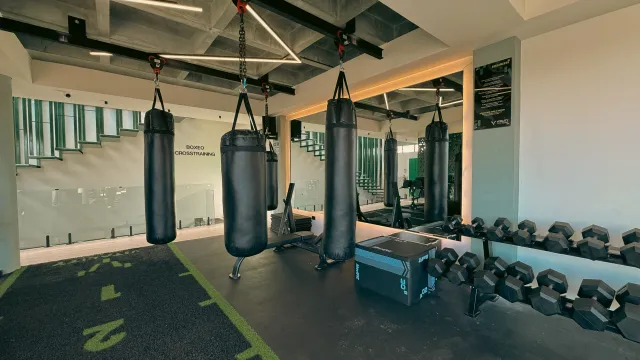 Zona de Boxing